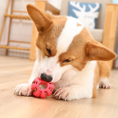 interactive puppy chew toy
