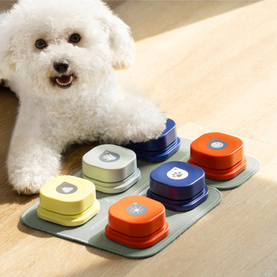 dog button record talking toy
