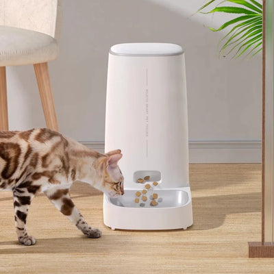 smart wifi cat food dispenser
