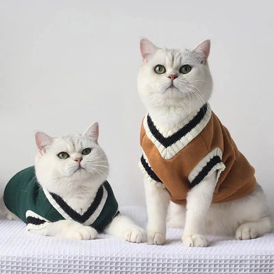 cat dog pullover sweater