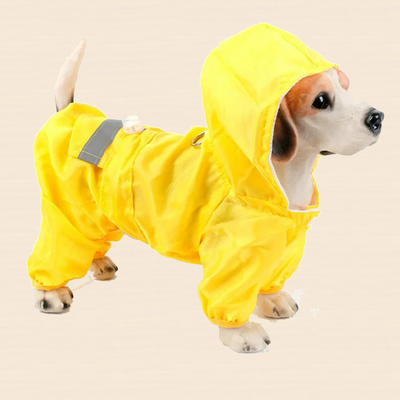 casual dog rain coat